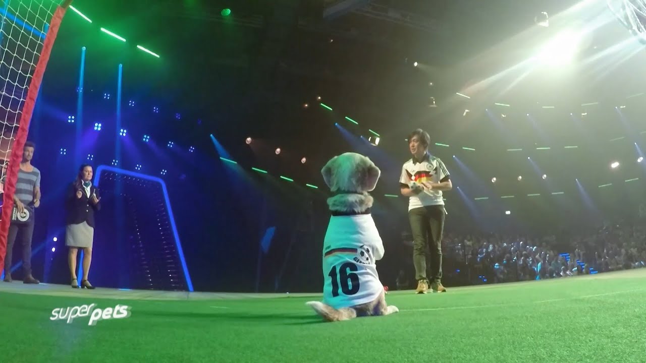 スーパービーグル プリン 番外編2 "Purin the Super Beagle" Extra Edition #2