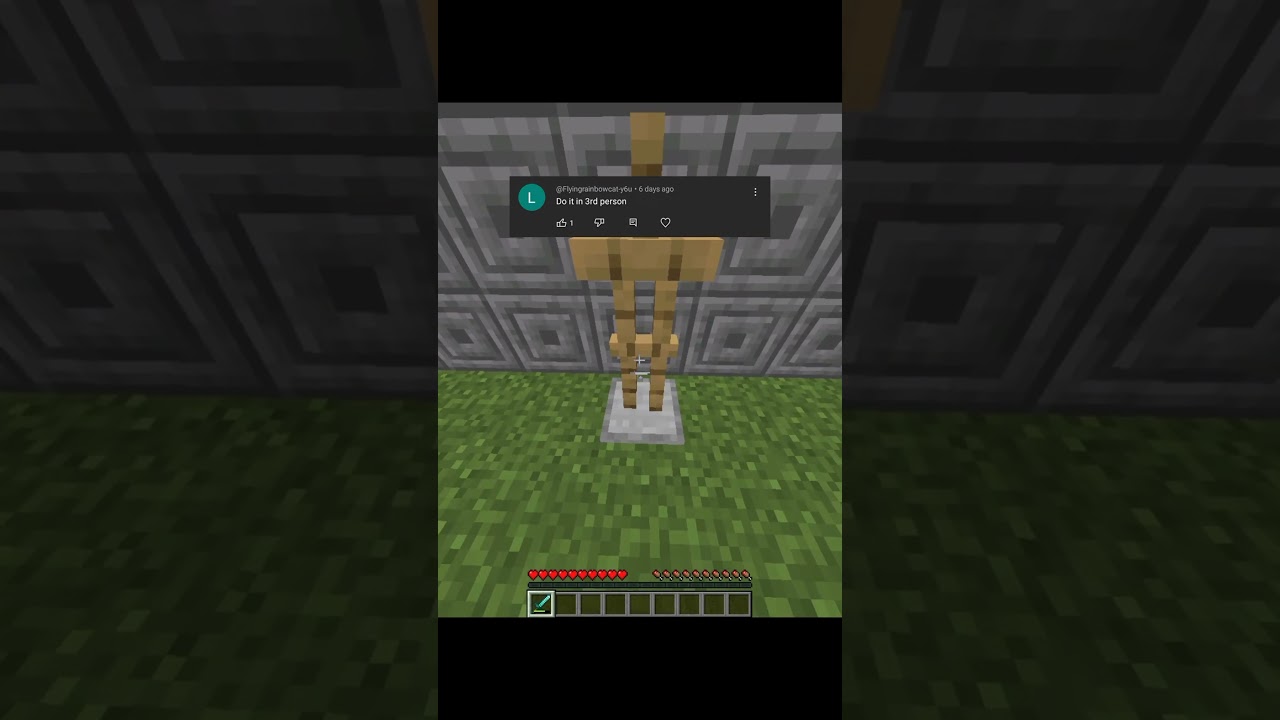 Minecraft Third Person Moment