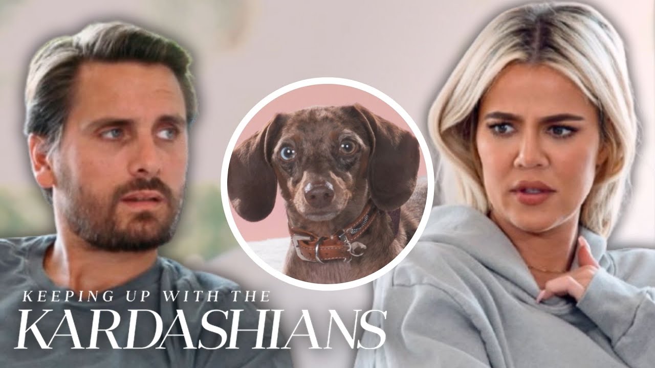 Khloé Kardashian Gets Dragged Into Scott Disick’s Over-the-Top Dog Show  Plans | KUWTK | E!