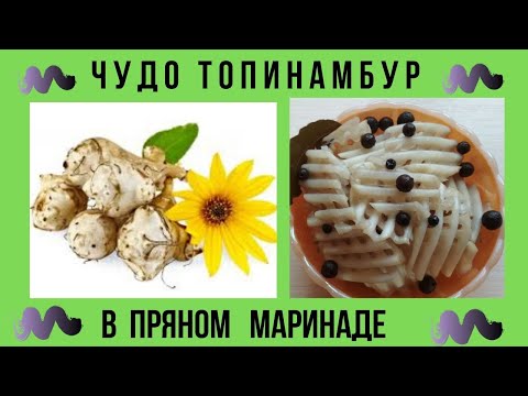 МАРИНОВАННЫЙ ТОПИНАМБУР