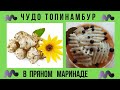 МАРИНОВАННЫЙ ТОПИНАМБУР