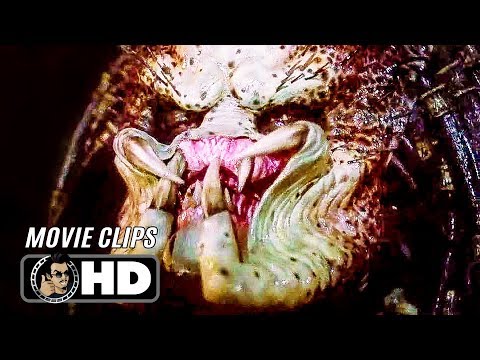 predator-movie-clip---dutch-fights-back-(1987)-arnold-schwarzenegger-sci-fi-horror-movie-hd