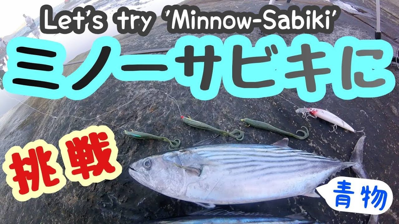 湾内ジグサビキ激アツ 爆釣 釣れ過ぎ注意 Jig Sabiki Shore Jigging Patonga Fishing Youtube