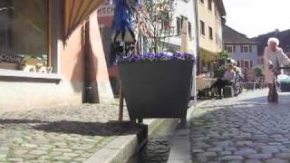 Staufen Bei Freiburg Im Breisgau