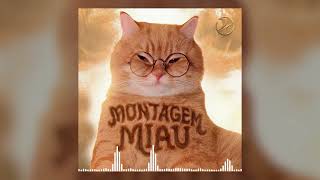 ay mi gatito Miau Miau tiktok | MONTAGEM MIAU (Letra)