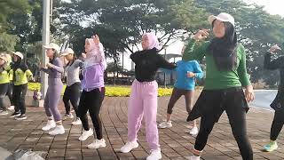 Download Lagu senam kreasi sms MP3