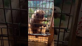 Back In London And Missing Japan With My Whole Heart  japan travel queer