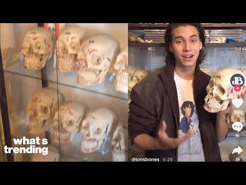 A TikTokers Bone Collection Goes Viral and Sparks Debates