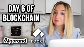 Day 6 of Blockchain | Adding Testing and Automatic Verifications to a Decentralized Application screenshot 4