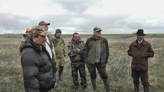Волгоградские состязания легавых собак по серой куропатке 20-22.04.2018 Волгоградские состязания легавых собак по серой куропатке 20-22.04.2018