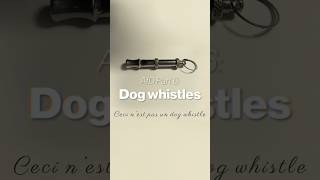 What Are Dog Whistles And How Does The Afd Use Them?