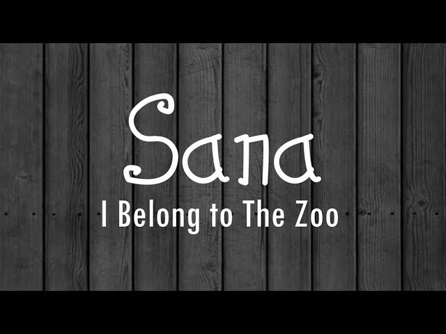 Sana   I Belong to the Zoo Lyrics HD