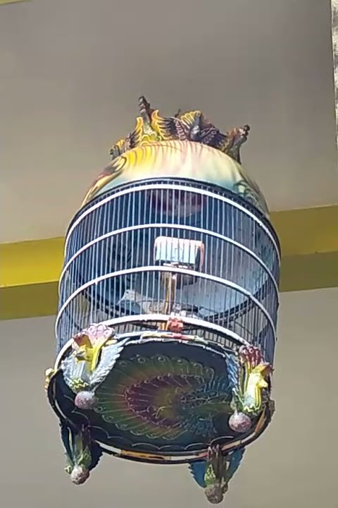 Kandang PERKUTUT pemula DINAR BIRD FARM...Semoga berkah.