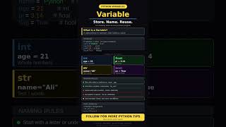 What is a Variable in Python? | Beginner's Guide in 60 Seconds!