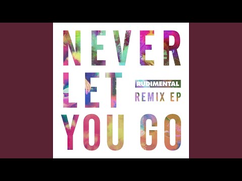 Never Let You Go (SpectraSoul Remix)