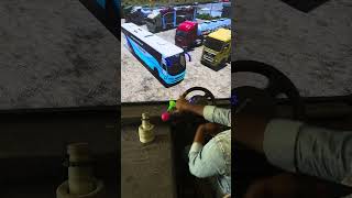 Suddenly Dog Crossing Bus Driving