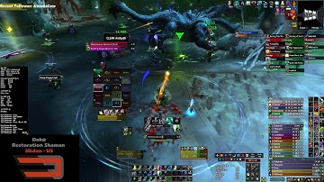 Narcosis Vs. Mythic Fetid Devourer [Resto Shaman PoV]