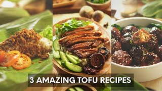 3 Amazing Tofu Recipe | Tasty Tofu Recipe