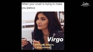 30  Funny Virgo Memes That's Accurate AF!