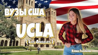 Как поступить в UCLA? Учёба в США | Университет в Калифорнии