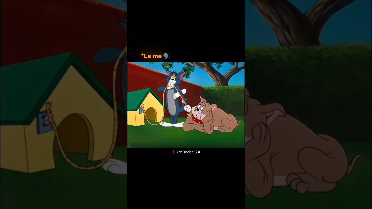 That's Risk Management 📊 