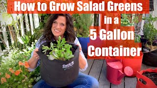 How to Grow Salad Greens in a 5 Gallon Container / Gardening for Busy People 🥗🌱👩🏻‍🌾