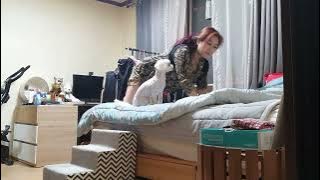 아줌마 침대정리 대충하고 😢