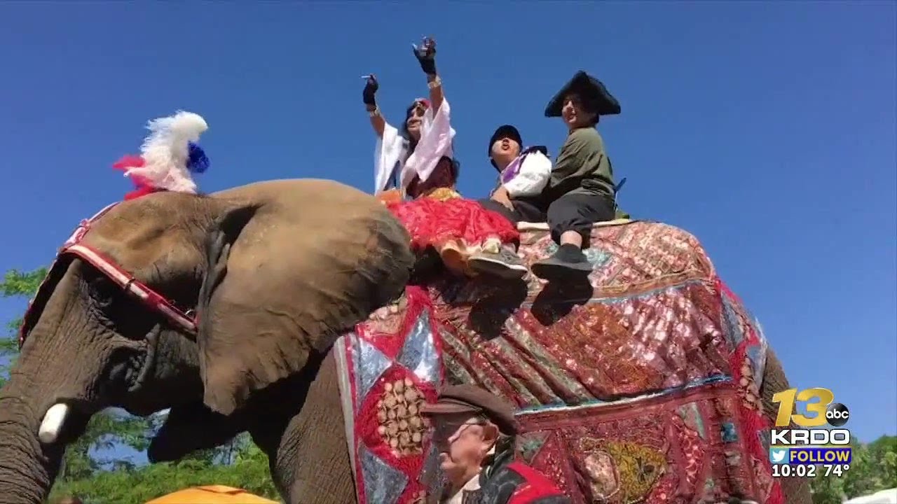 Elephant Rides Renaissance Fair Law banning traveling elephant performances takes effect amid Colorado ...
