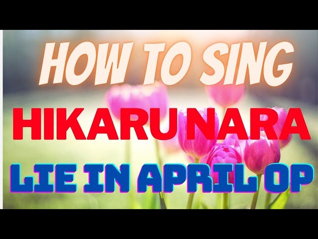 HIKARU NARA / YOUR LIE IN APRIL (KARAOKE) 