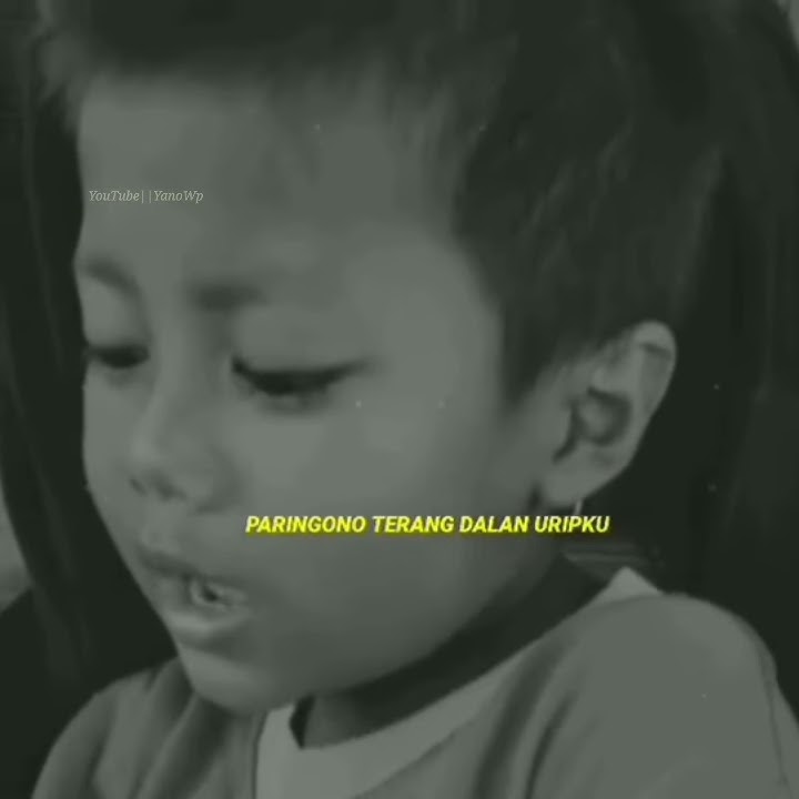 STORY WA LAGU JAWA KUATNO AKU || STORY WA JAWA || STORY WA KEKINIAN