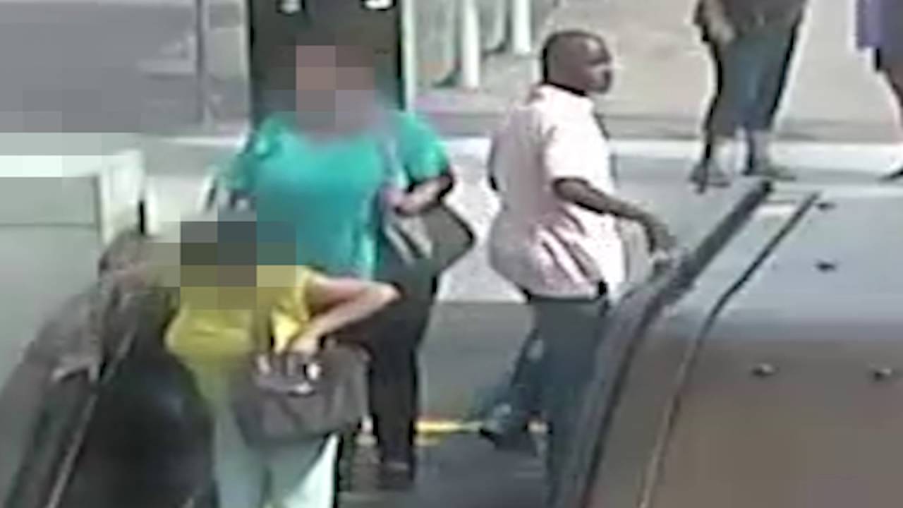 Person of Interest in Theft I, 600 b/o Pennsylvania Ave, SE, on September 3, 2016 videos for cats