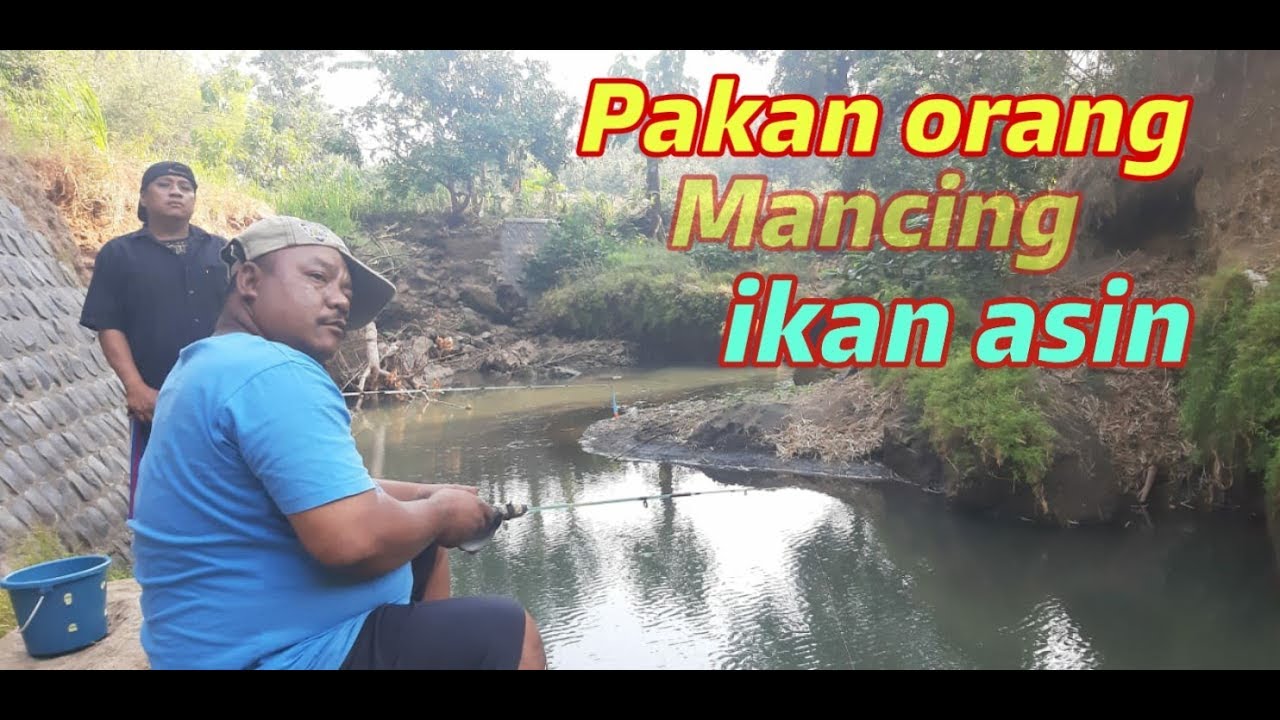 MAKAN ORANG MANCING IKAN ASIN-SPOT MANCING (video pendek) PAK NDUTT SENTON