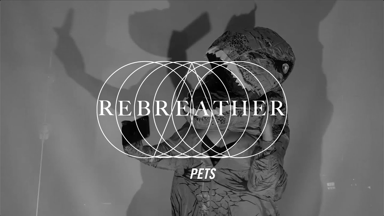 Guarda Rebreather Pets OFFICIAL su YouTube Guarda Rebreather Pets OFFICIAL su YouTube
