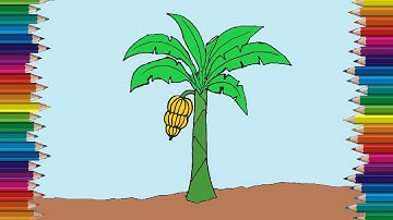 How to draw a banana tree step by step