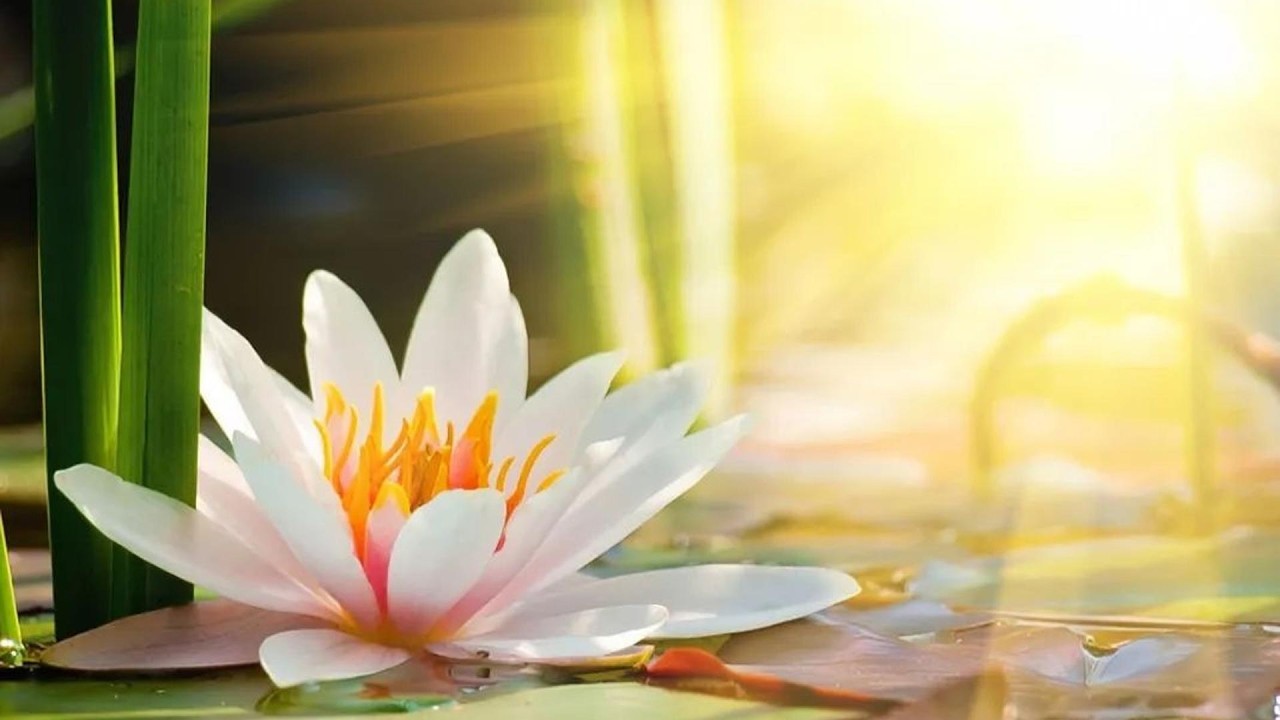 祖上积德，庇护子孙的真实事情