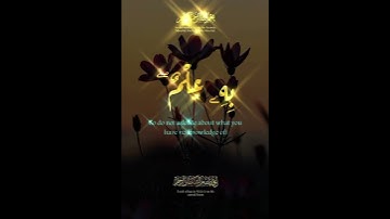 #تلاوة #اكسبلور #المصحف #quran #لايك #قرآن #تيك_توك #دويتو