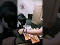 Unboxing Felinus #1 - Embajador @orioon.rm