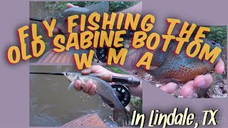 FLY FISHING the Old Sabine Bottom WMA in Lindale, TX #Flyfishing #TexasFlyFishing