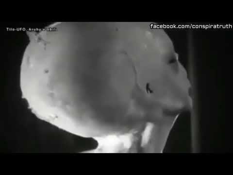 Real Alien Evidence - Most Impressive ALIEN Video Ever!