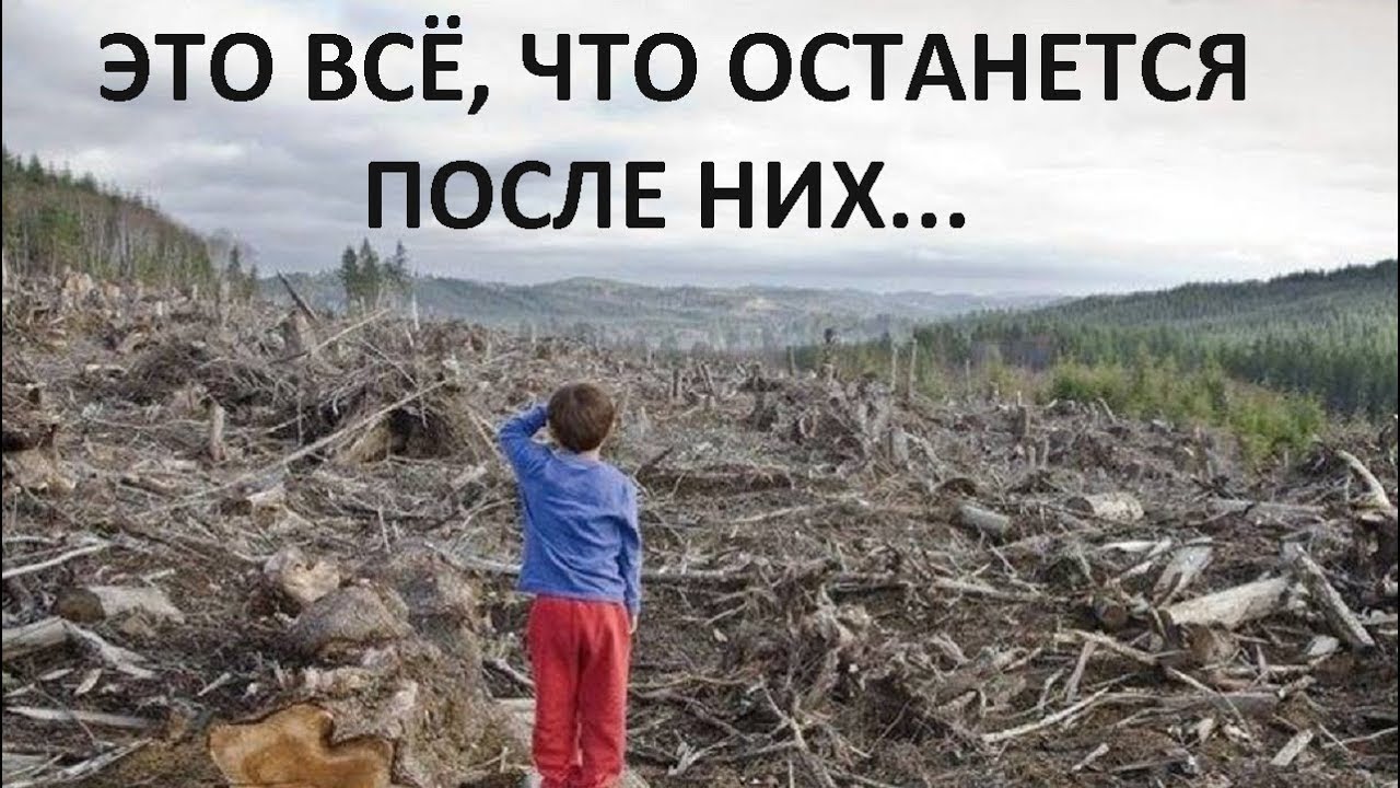 Истов все что осталось 2024