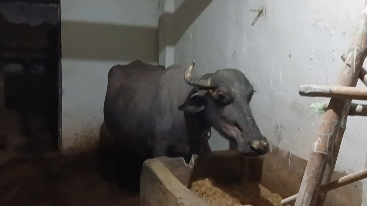 Ye Kya Karna Pad Rha H😞