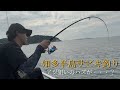 【サビキ釣り】知多半島の釣り桟橋でアジ狙いのはずが・・・？
