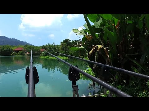 Is GILLHAMS FISHING RESORT WORTH IT? 2 DAYS OF FISHING in KRABI THAILAND