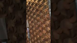Full Hotel Tour at Fairfield Inn & Suites Marriott Jasper, IN