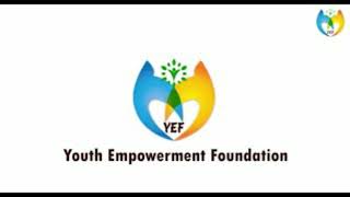 YEF Internship Experience