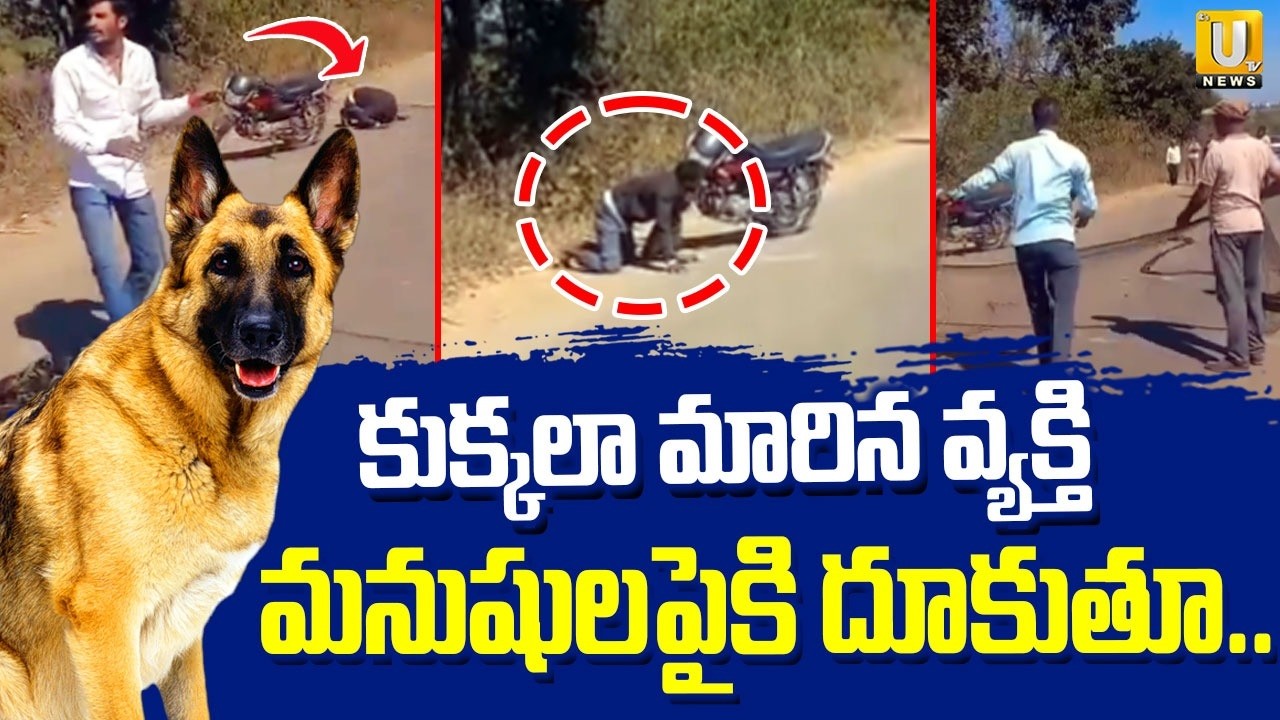 కుక్కలా మారిన మనిషి : The Man Who Became a Dog! | Viral Video | ITS UTV News