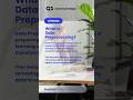 What is Data Preprocessing?👨💻