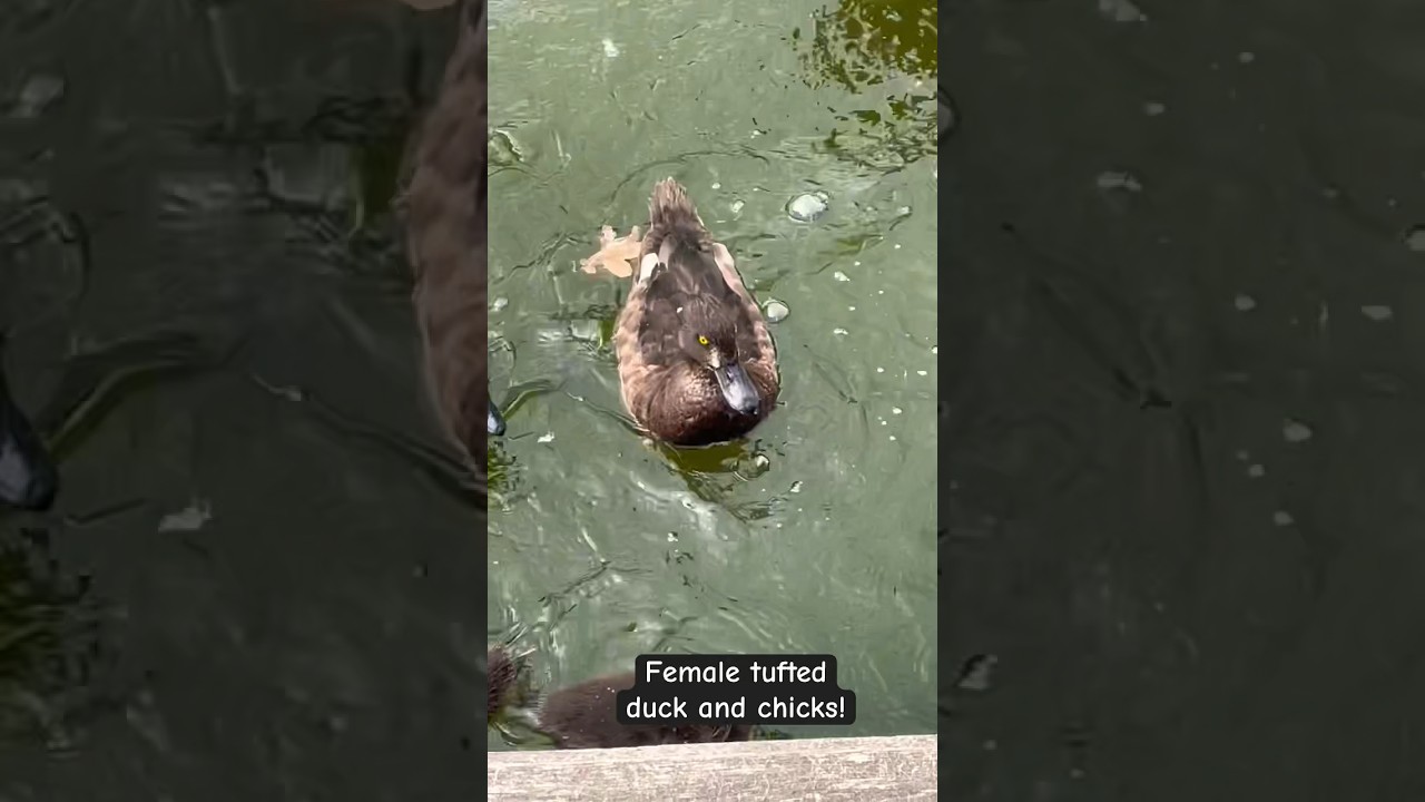 I felt privileged to have seen 