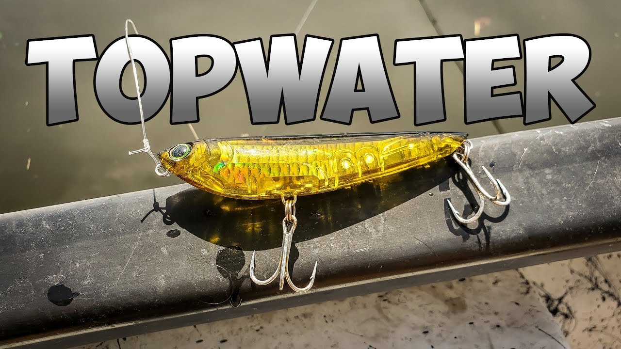 TOPWATER INSHORE SLAM On This Lure! YouTube