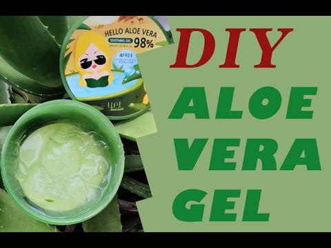 Cara Membuat Aloe Vera Gel Cara Membuat Masker Lidah Buaya Pelembab Dari Aloe Vera Youtube